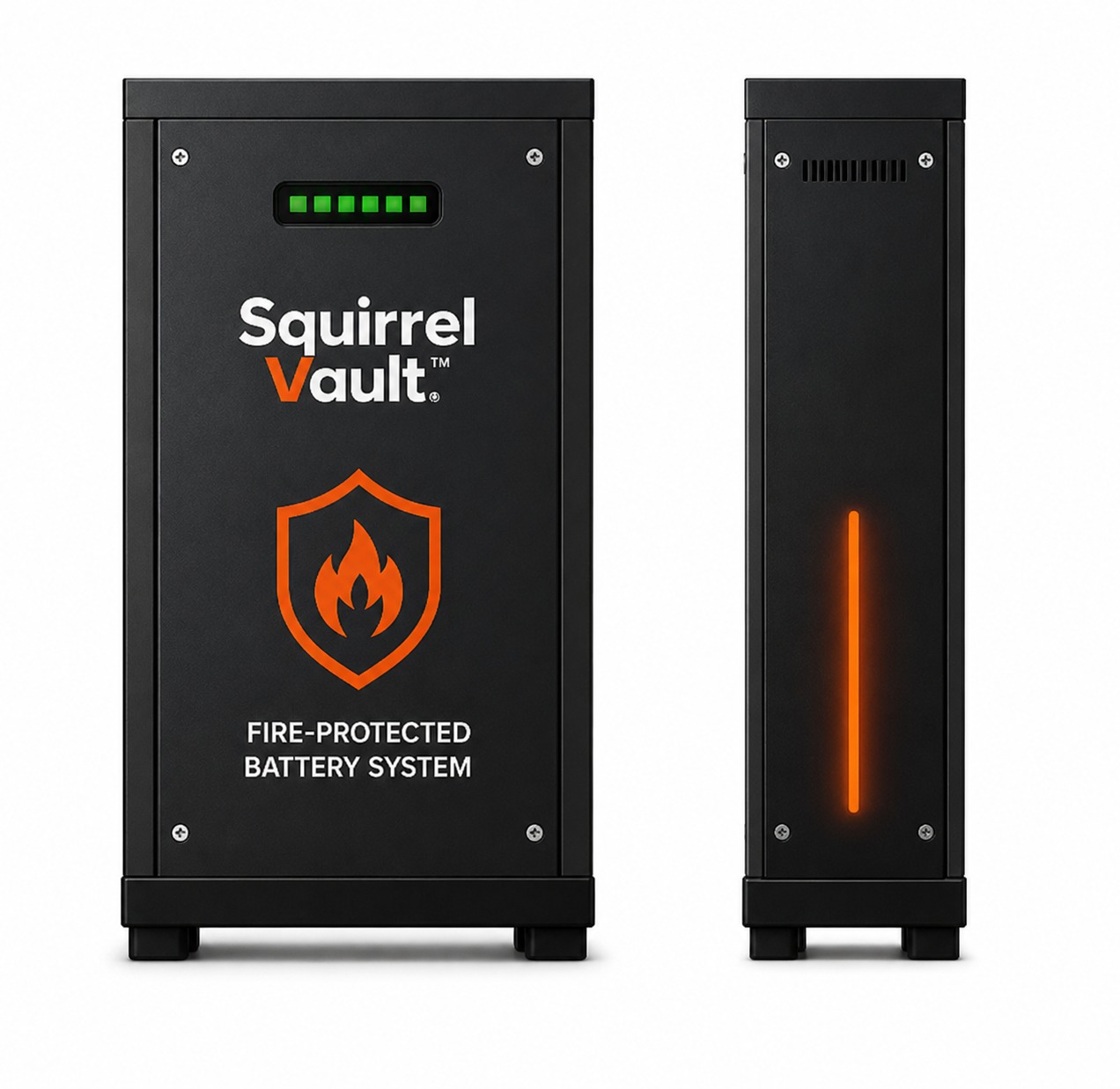 Black Cabnet Squirrel Vault Cabinet Only - Black - Image 1